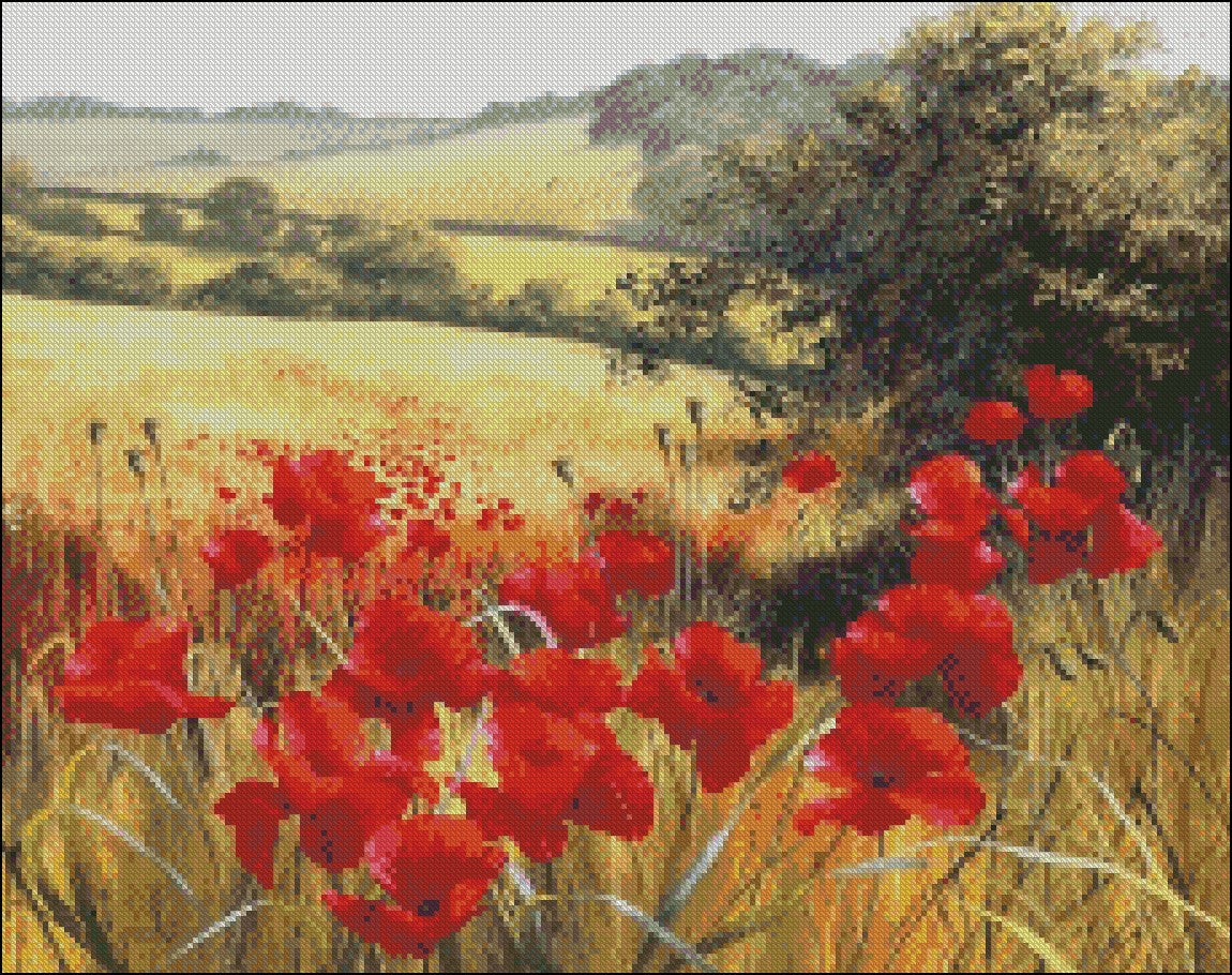 Poppies Field 13 - Counted Cross Stitch Patterns Embroidery Crafts Needlework DIY Chart DMC Color