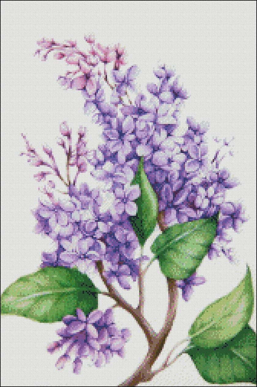 Lilac - Counted Cross Stitch Patterns Embroidery Crafts Needlework DIY Chart DMC Color