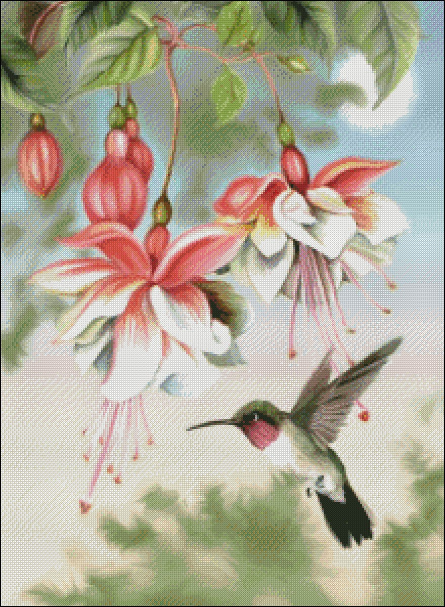 Fuchsia and Hummingbird - Counted Cross Stitch Patterns Embroidery Crafts Needlework DIY Chart DMC Color