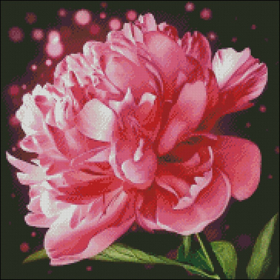 Blooming Peony - Counted Cross Stitch Patterns Embroidery Crafts Needlework DIY Chart DMC Color