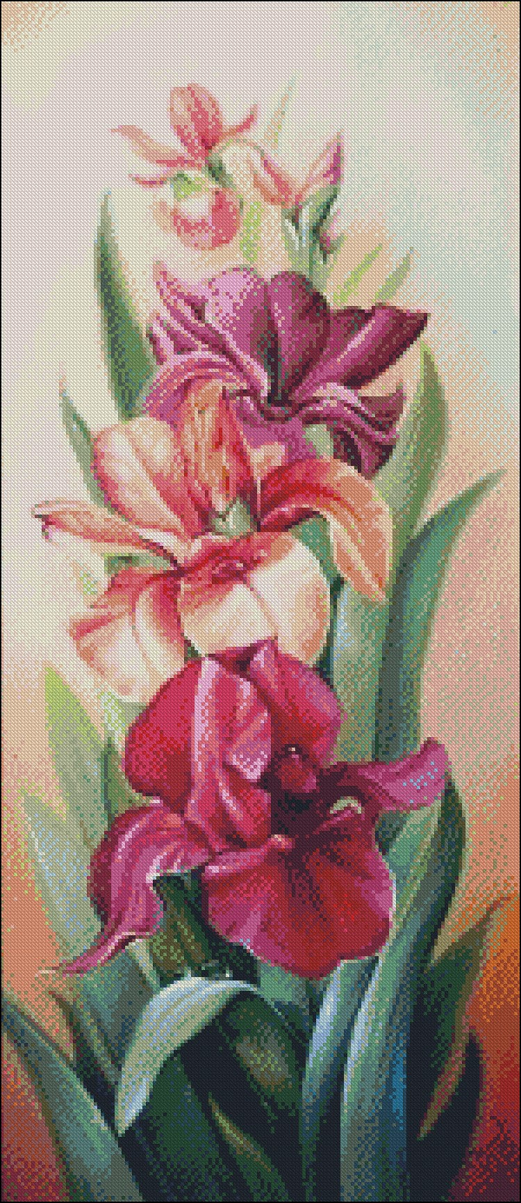 Iris - Counted Cross Stitch Patterns Embroidery Crafts Needlework DIY Chart DMC Color