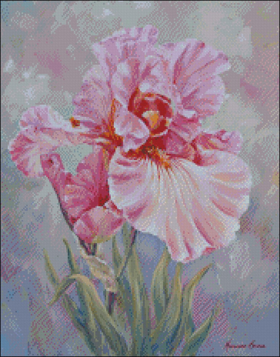 Pink Iris 4 - Counted Cross Stitch Patterns Embroidery Crafts Needlework DIY Chart DMC Color