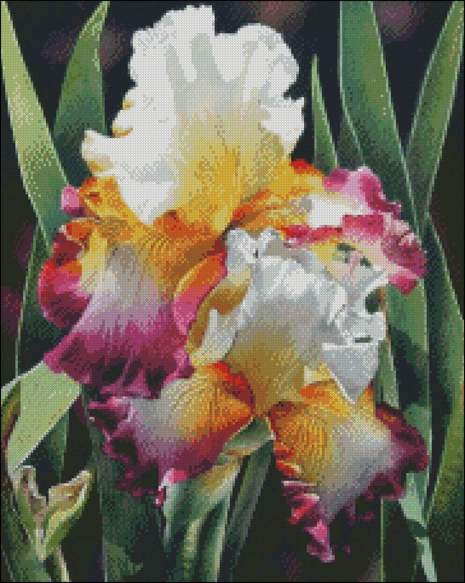 Iris Flowers 3 - Counted Cross Stitch Patterns Embroidery Crafts Needlework DIY Chart DMC Color