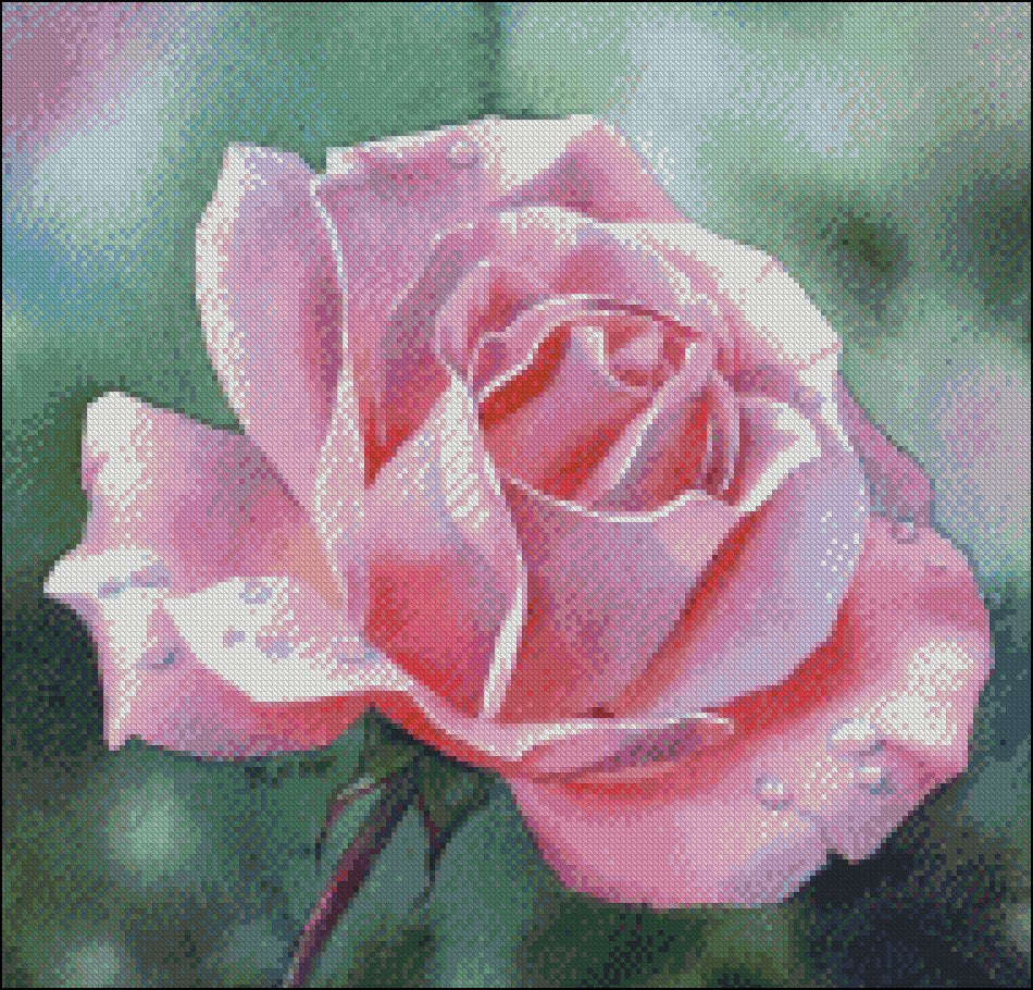 Watercolor Rose - Counted Cross Stitch Patterns Embroidery Crafts Needlework DIY Chart DMC Color