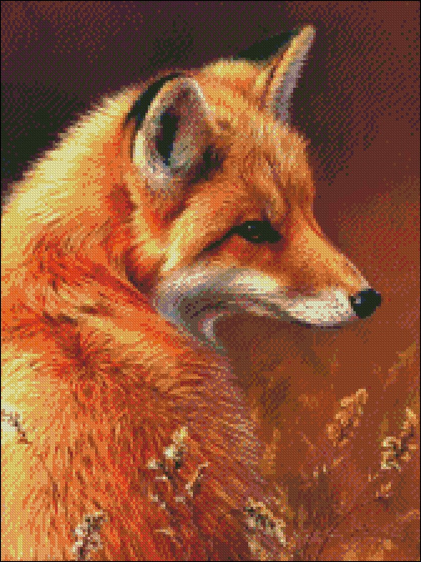 Red Fox - Counted Cross Stitch Patterns Embroidery Crafts Needlework DIY Chart DMC Color