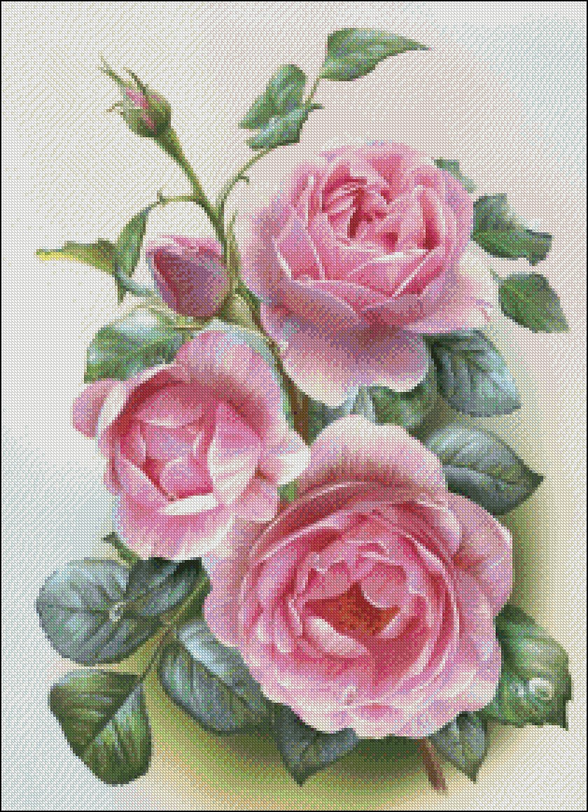 Morning Roses II - Counted Cross Stitch Patterns Embroidery Crafts Needlework DIY Chart DMC Color