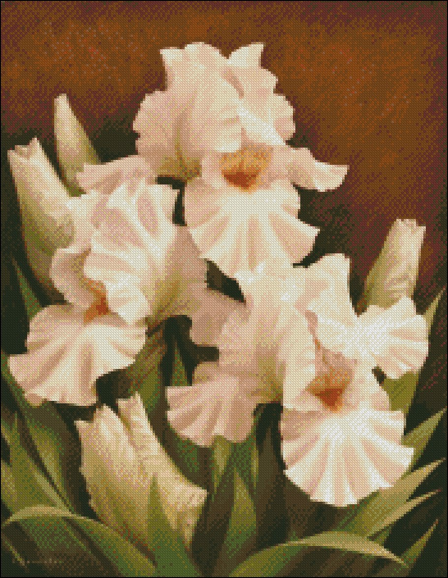 White Iris - Counted Cross Stitch Patterns Embroidery Crafts Needlework DIY Chart DMC Color