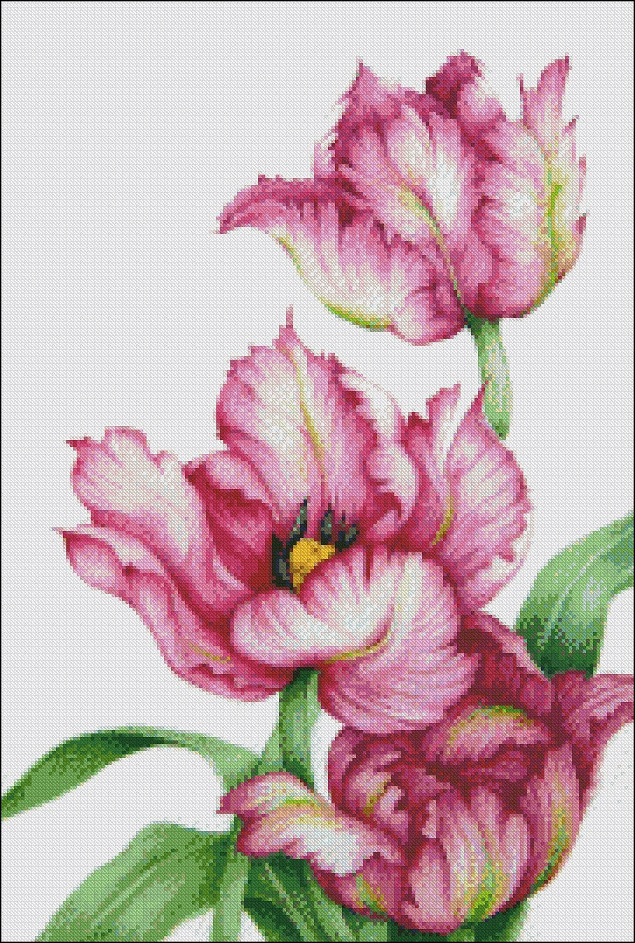 Red Parrot Tulips - Counted Cross Stitch Patterns Embroidery Crafts Needlework DIY Chart DMC Color