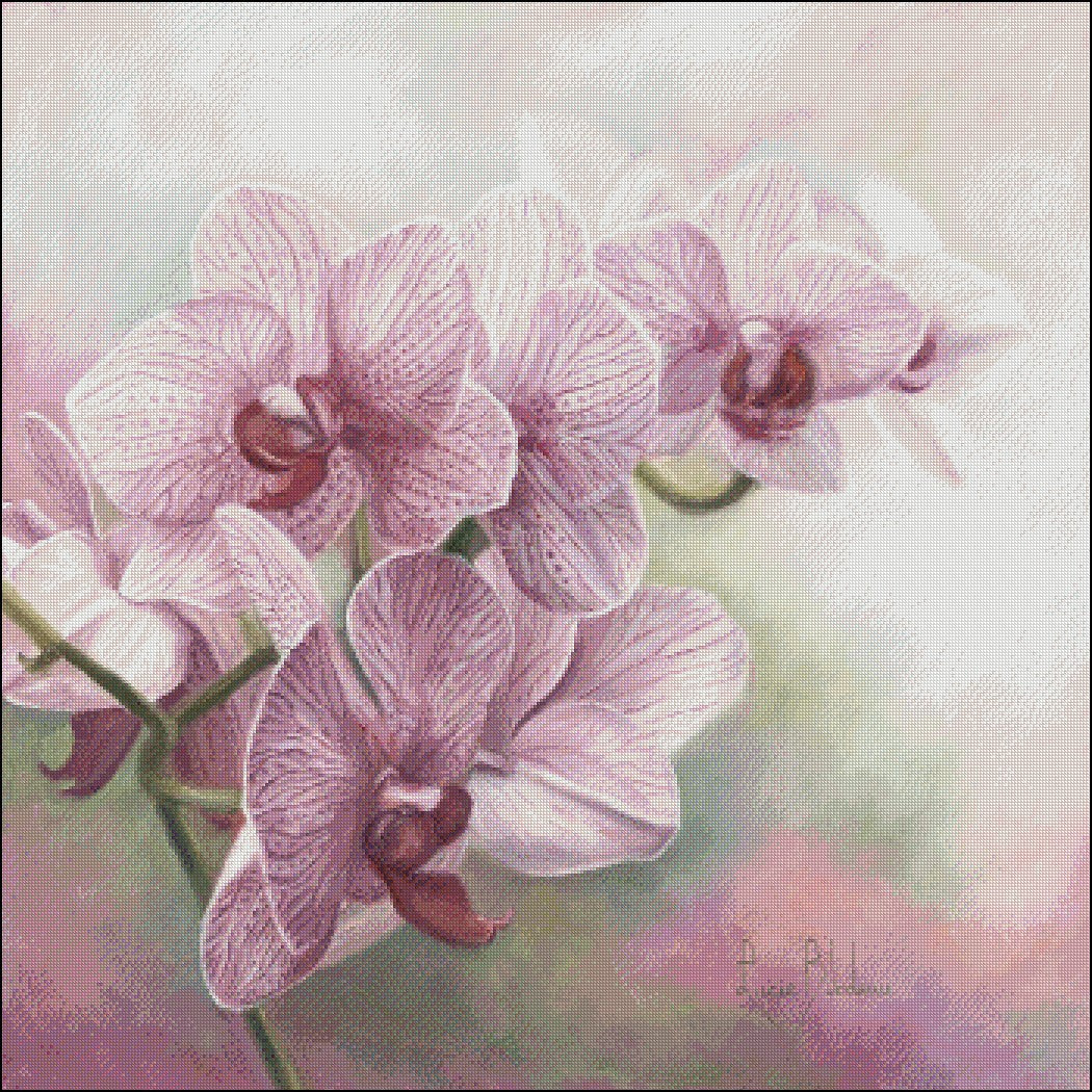 Graceful Orchids - Counted Cross Stitch Patterns Embroidery Crafts Needlework DIY Chart DMC Color