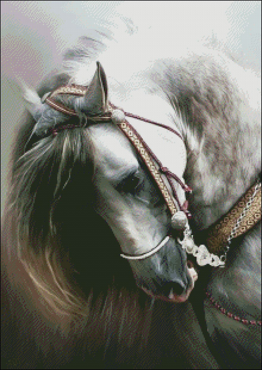 Andalusian Horse - Counted Cross Stitch Patterns Embroidery Crafts Needlework DIY Chart DMC Color