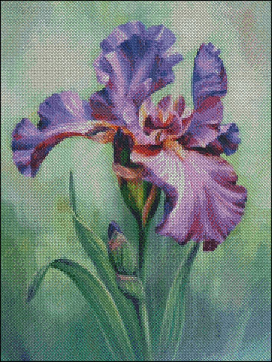 Purple Iris - Counted Cross Stitch Patterns Embroidery Crafts Needlework DIY Chart DMC Color