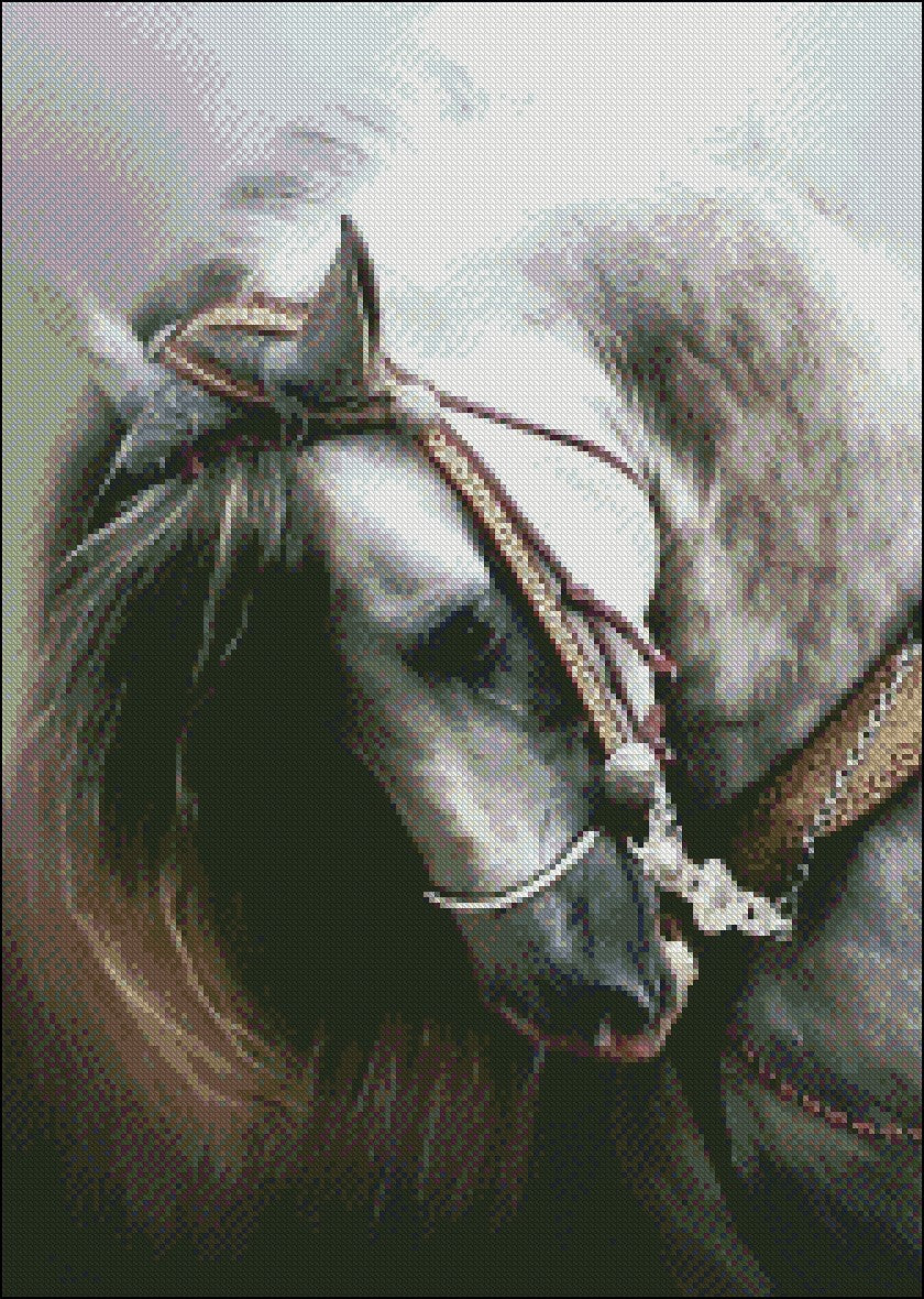 Andalusian Horse - Counted Cross Stitch Patterns Embroidery Crafts Needlework DIY Chart DMC Color